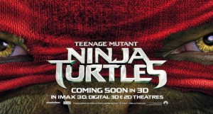 testoasele-ninja