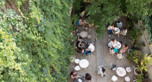 film-in-gradina
